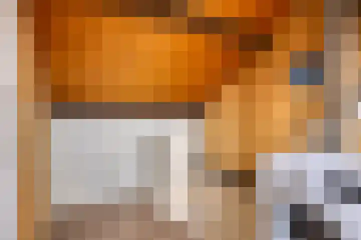 Warmoeziershof 52 Hendrik-Ido-Ambacht thumbnail 23