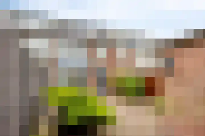 Warmoeziershof 52 Hendrik-Ido-Ambacht thumbnail 27