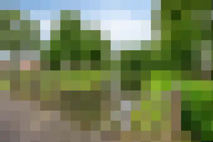 Warmoeziershof 52 Hendrik-Ido-Ambacht thumbnail 32