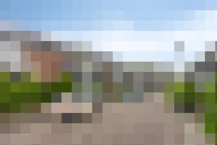 Warmoeziershof 52 Hendrik-Ido-Ambacht thumbnail 34