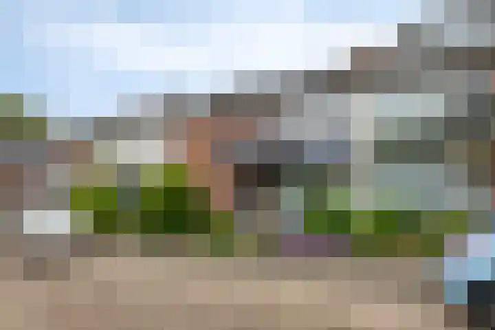 Warmoeziershof 52 Hendrik-Ido-Ambacht thumbnail 36