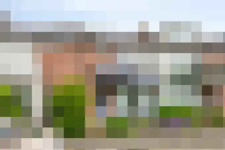 Warmoeziershof 52 Hendrik-Ido-Ambacht thumbnail 37