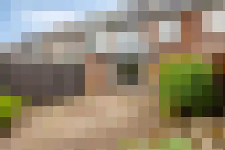 Warmoeziershof 52 Hendrik-Ido-Ambacht thumbnail 4