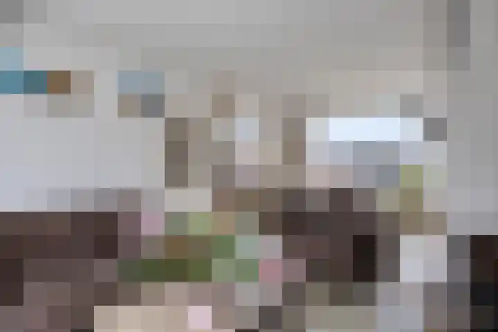 Warmoeziershof 52 Hendrik-Ido-Ambacht thumbnail 6