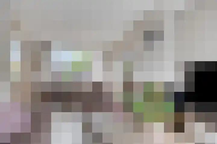 Warmoeziershof 52 Hendrik-Ido-Ambacht thumbnail 7