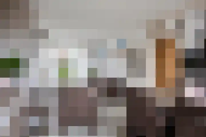 Warmoeziershof 52 Hendrik-Ido-Ambacht thumbnail 8