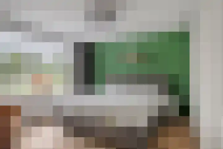 Warmoeziershof 65 Hendrik-Ido-Ambacht thumbnail 15
