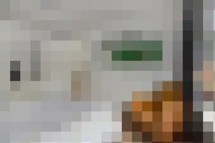 Warmoeziershof 65 Hendrik-Ido-Ambacht thumbnail 16