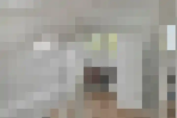 Warmoeziershof 65 Hendrik-Ido-Ambacht thumbnail 25