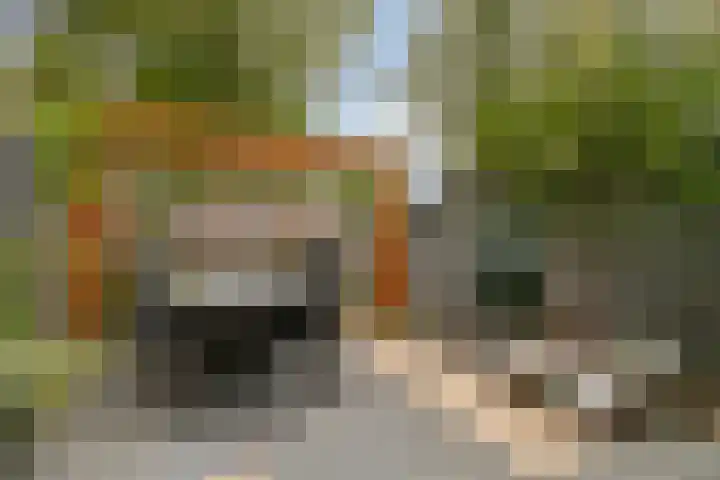 Warmoeziershof 65 Hendrik-Ido-Ambacht thumbnail 31