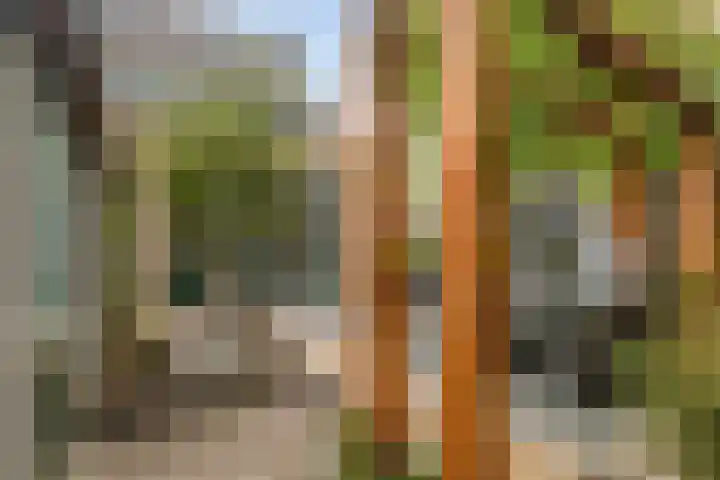 Warmoeziershof 65 Hendrik-Ido-Ambacht thumbnail 34