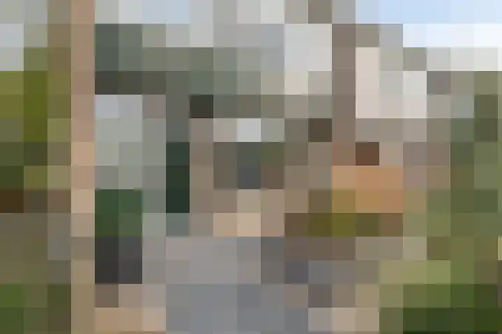 Warmoeziershof 65 Hendrik-Ido-Ambacht thumbnail 36