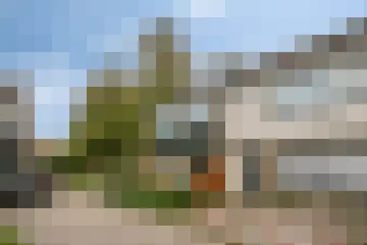 Warmoeziershof 65 Hendrik-Ido-Ambacht thumbnail 37