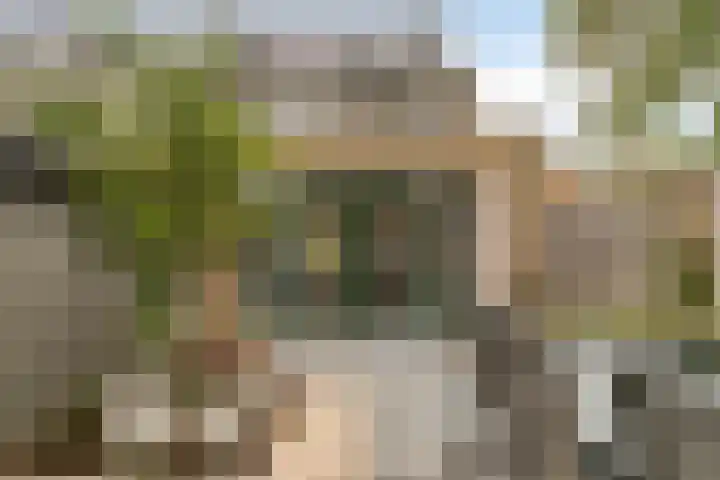 Warmoeziershof 65 Hendrik-Ido-Ambacht thumbnail 4