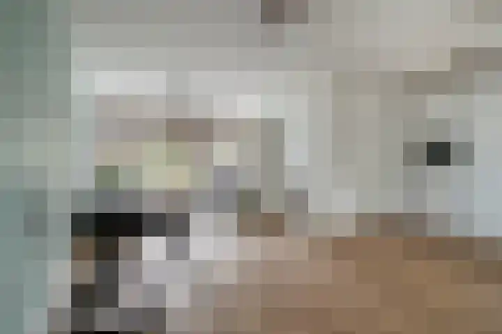 Warmoeziershof 65 Hendrik-Ido-Ambacht thumbnail 7