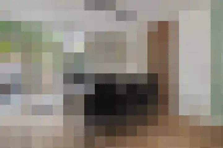 Warmoeziershof 65 Hendrik-Ido-Ambacht thumbnail 8