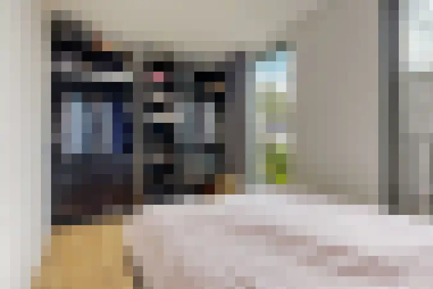 Warmoeziershof 7 Leiden thumbnail 22