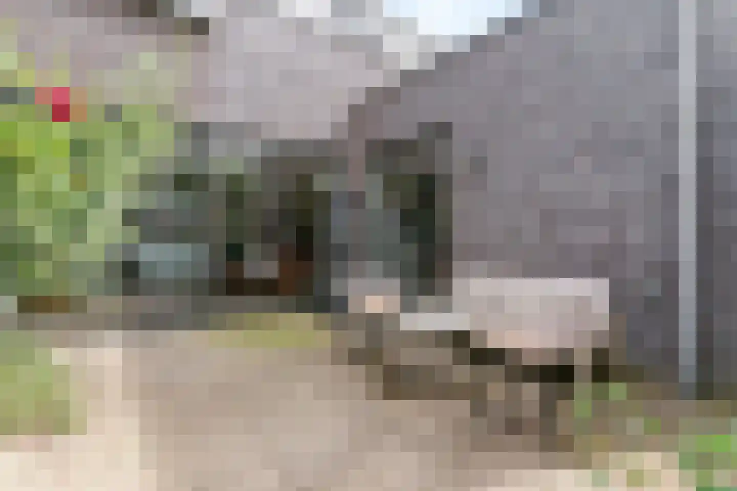 Warmoeziershof 7 Leiden thumbnail 31