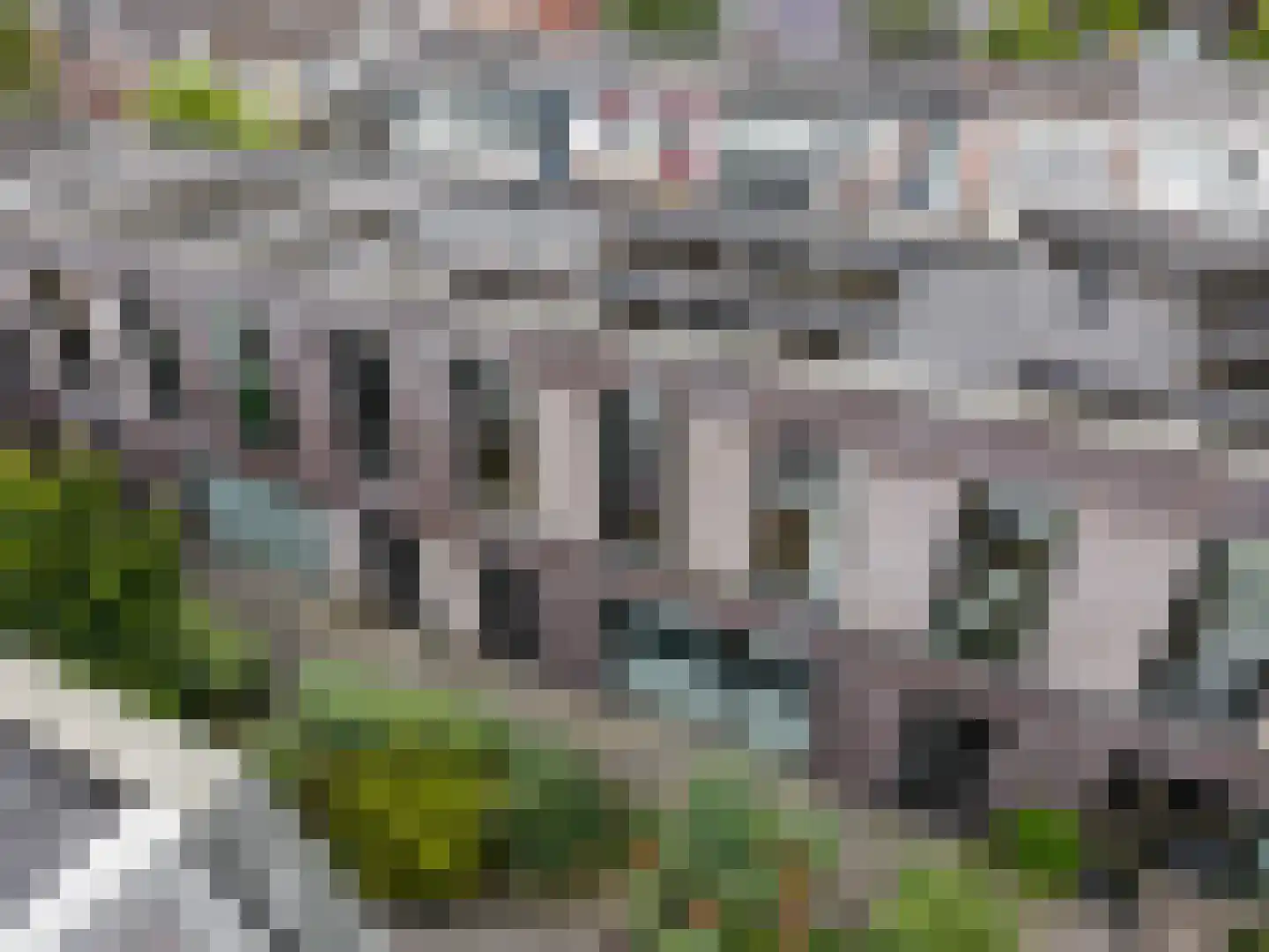 Warmoeziershof 7 Leiden thumbnail 35
