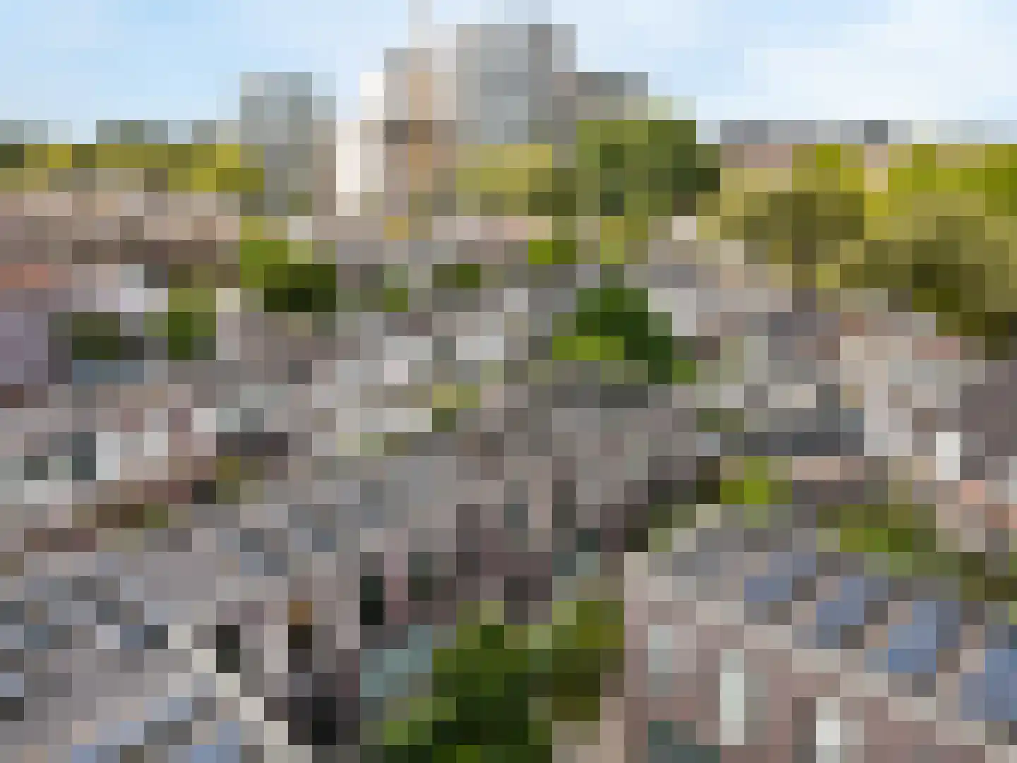 Warmoeziershof 7 Leiden thumbnail 36