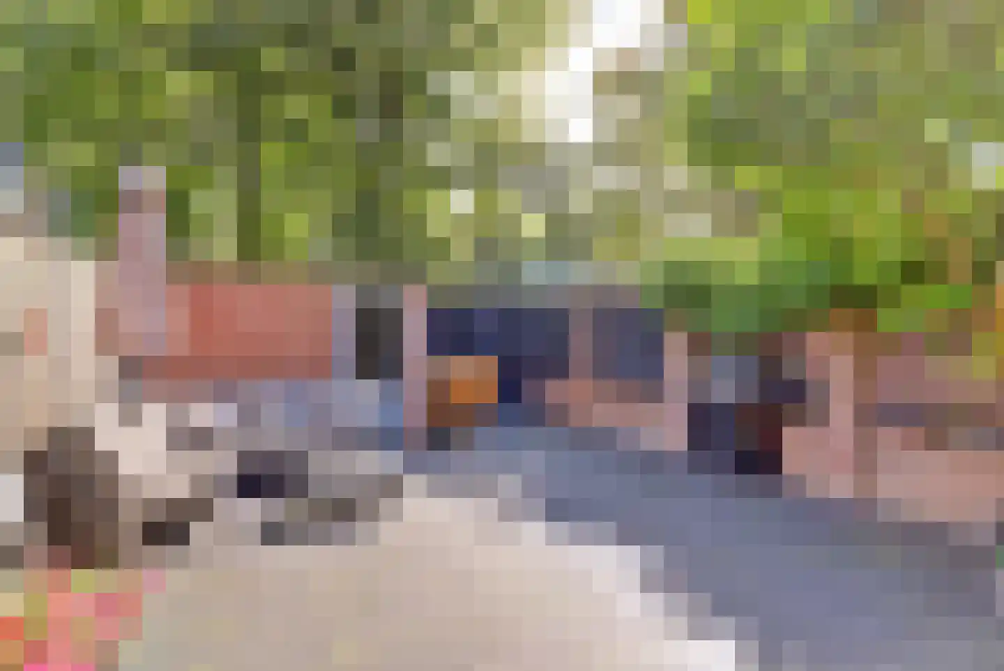 Warmoeziershof 81 Hendrik-Ido-Ambacht thumbnail 41