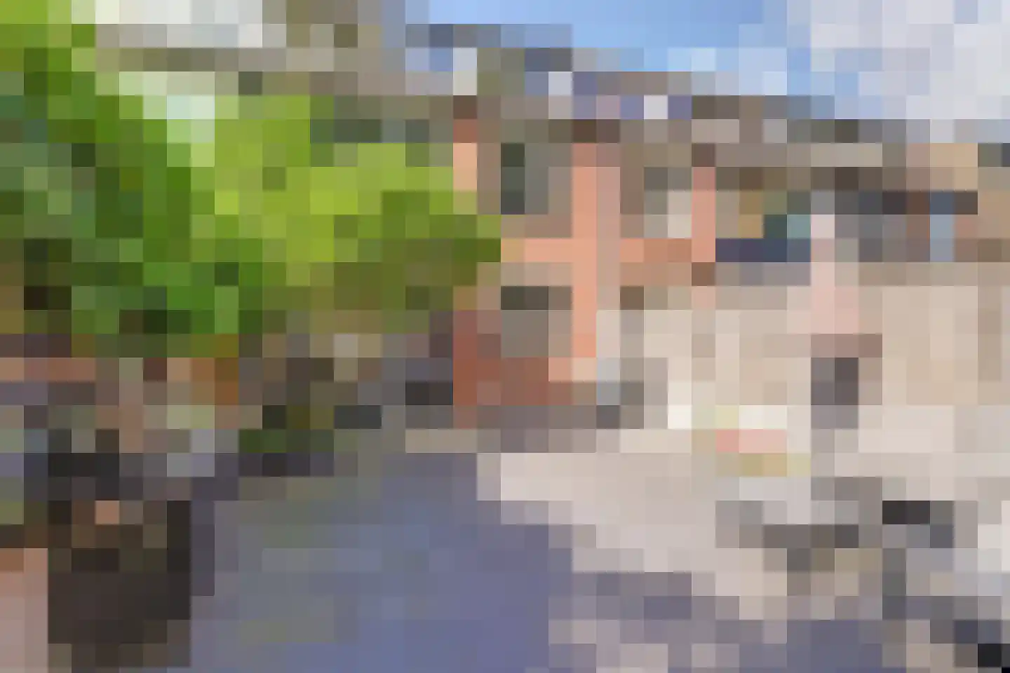 Warmoeziershof 81 Hendrik-Ido-Ambacht thumbnail 43