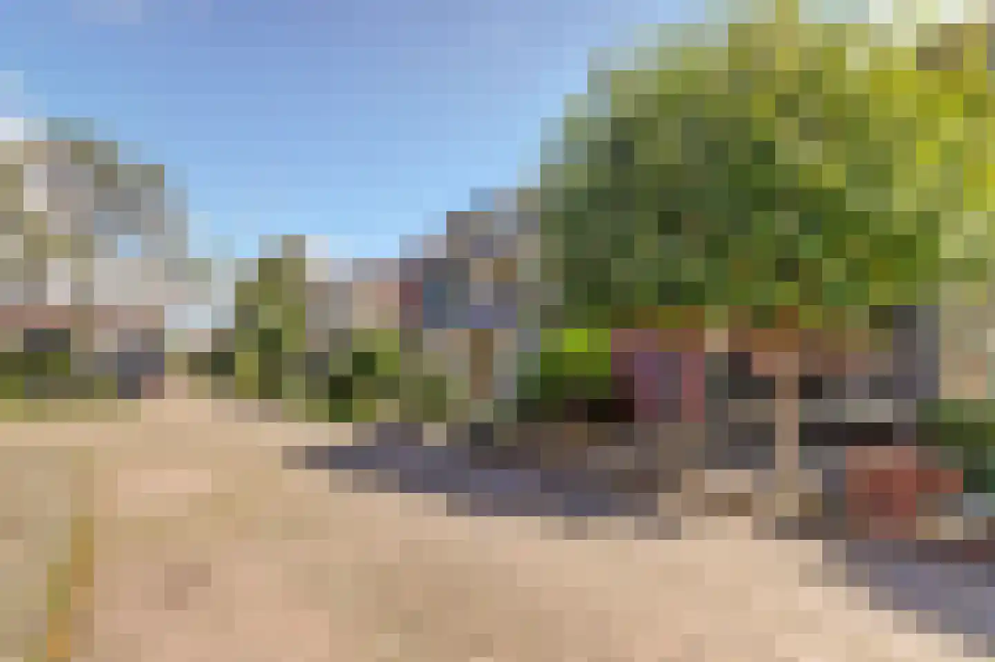 Warmoeziershof 81 Hendrik-Ido-Ambacht thumbnail 46