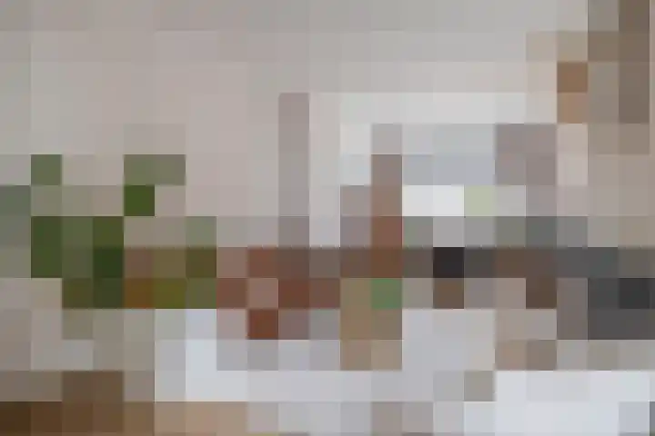 Warmoezierskade 13 Gouda thumbnail 11