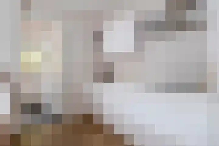 Warmoezierskade 13 Gouda thumbnail 17