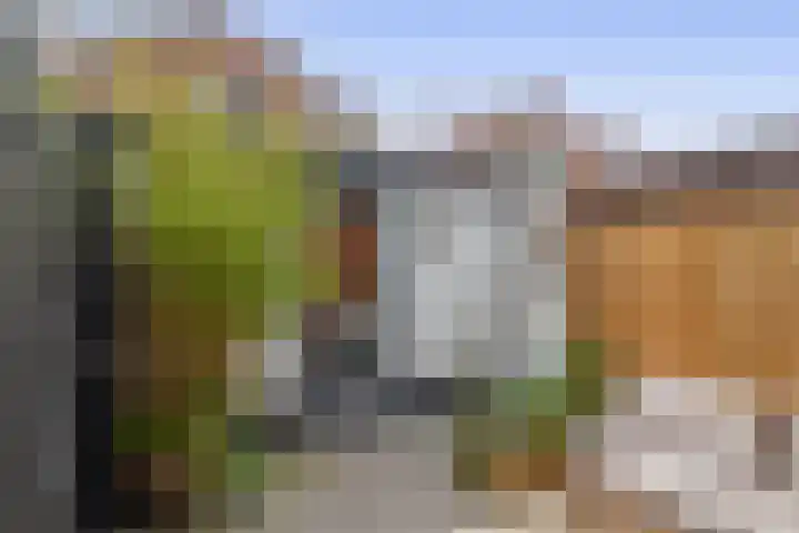 Warmoezierskade 13 Gouda thumbnail 21