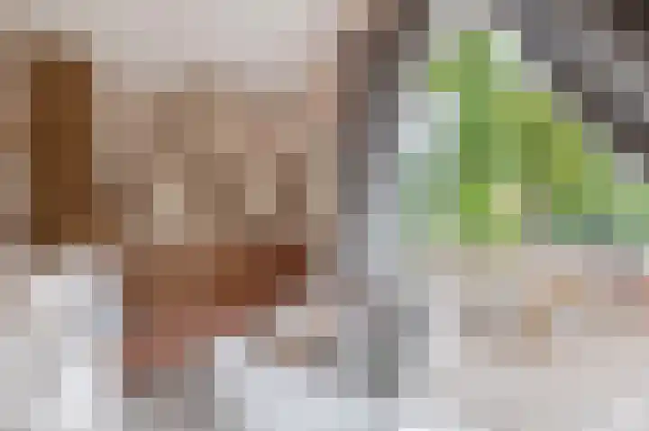 Warmoezierskade 13 Gouda thumbnail 29