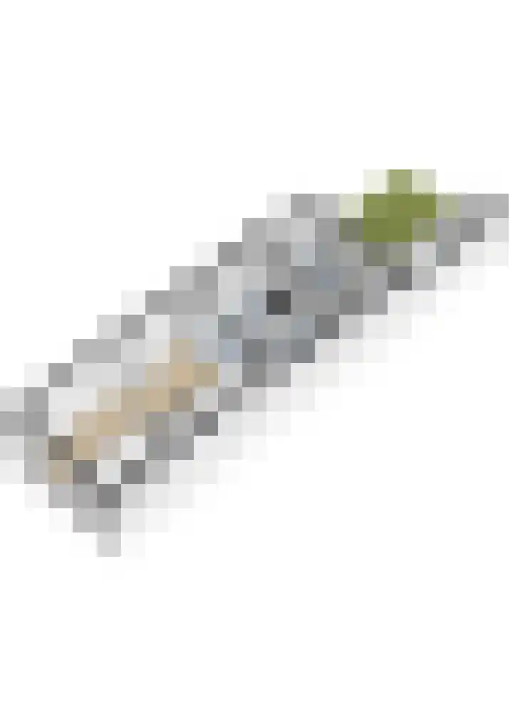 Warmoezierskade 13 Gouda thumbnail 38