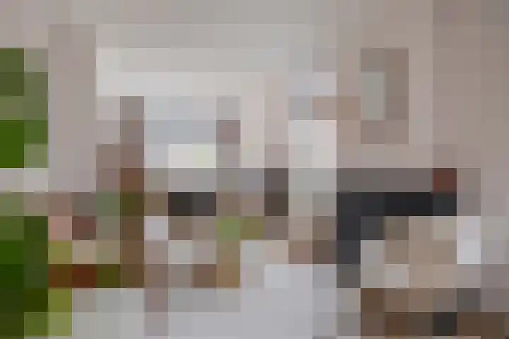 Warmoezierskade 13 Gouda thumbnail 4