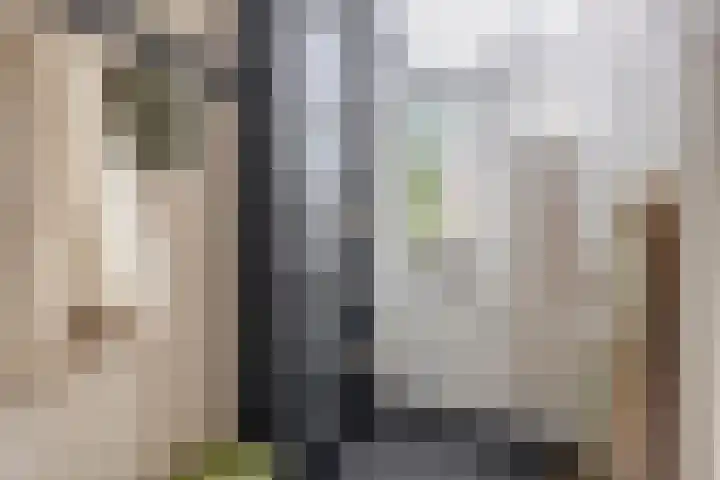 Warmoezierskade 13 Gouda thumbnail 8