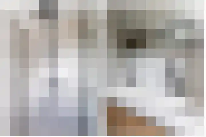 Warmoezierskade 15 Gouda thumbnail 24