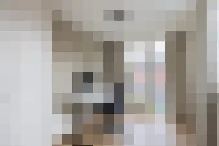 Warmoezierskade 15 Gouda thumbnail 26