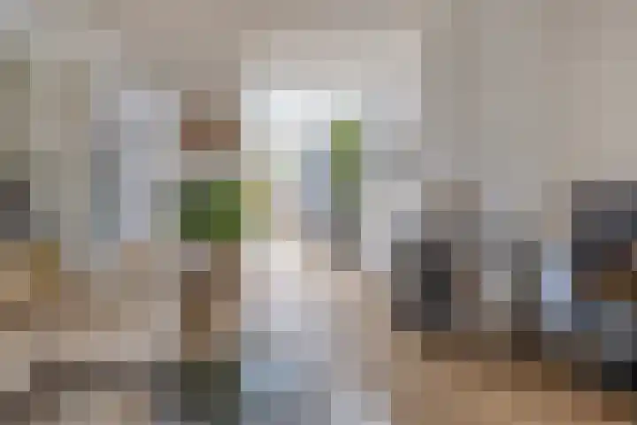 Warmoezierskade 15 Gouda thumbnail 9