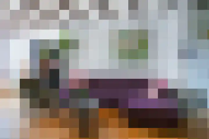 Warmoezierskade 22 Gouda thumbnail 13