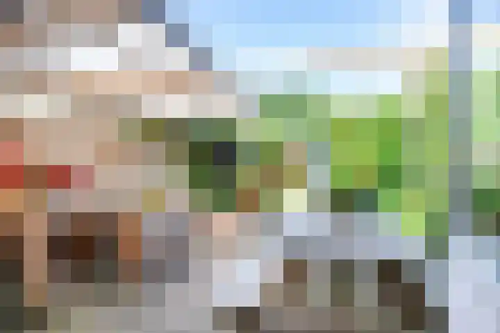 Warmoezierskade 22 Gouda thumbnail 23