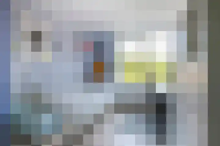 Warmoezierskade 22 Gouda thumbnail 34