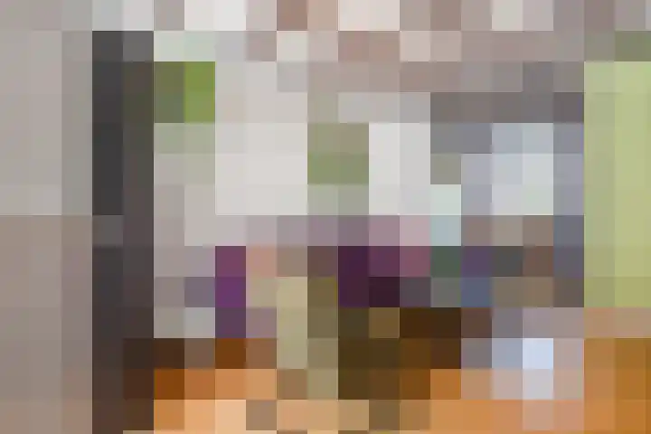 Warmoezierskade 22 Gouda thumbnail 8