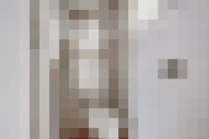 Warmoezierskade 25 Gouda thumbnail 10