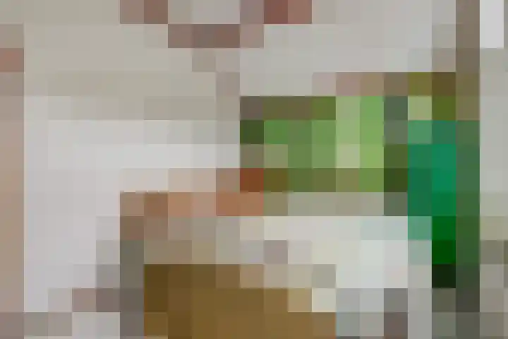 Warmoezierskade 25 Gouda thumbnail 14