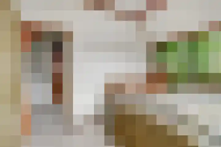 Warmoezierskade 25 Gouda thumbnail 15