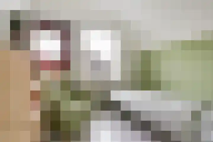 Warmoezierskade 25 Gouda thumbnail 18