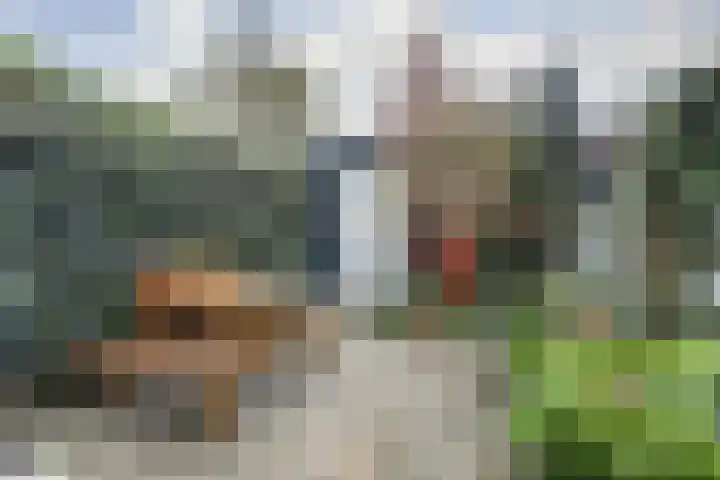 Warmoezierskade 25 Gouda thumbnail 27