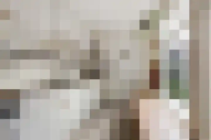 Warmoezierskade 25 Gouda thumbnail 9