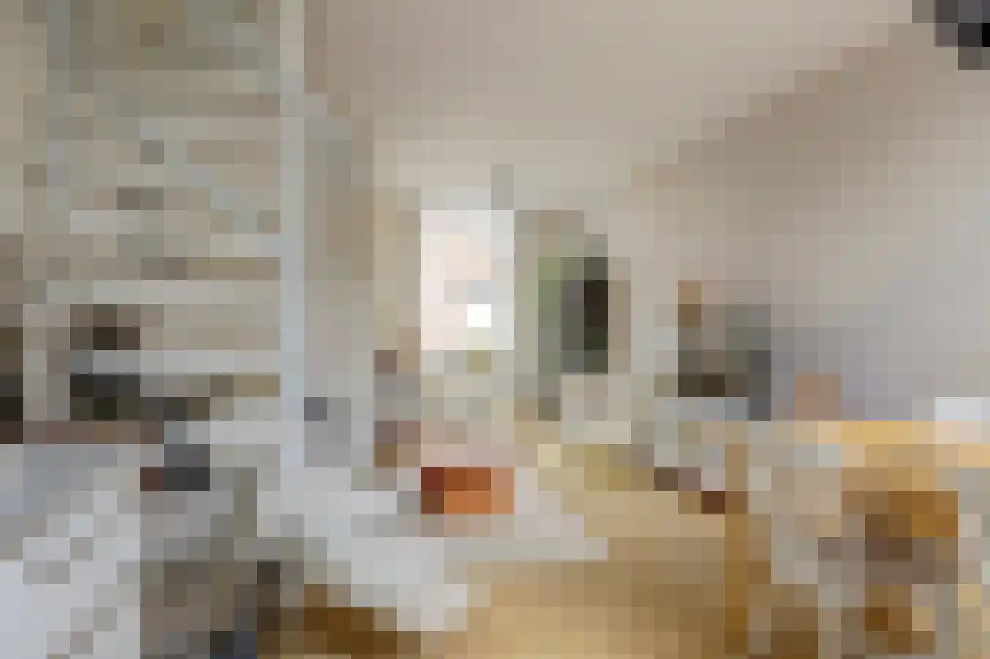Warmoezierskade 31 Gouda thumbnail 11