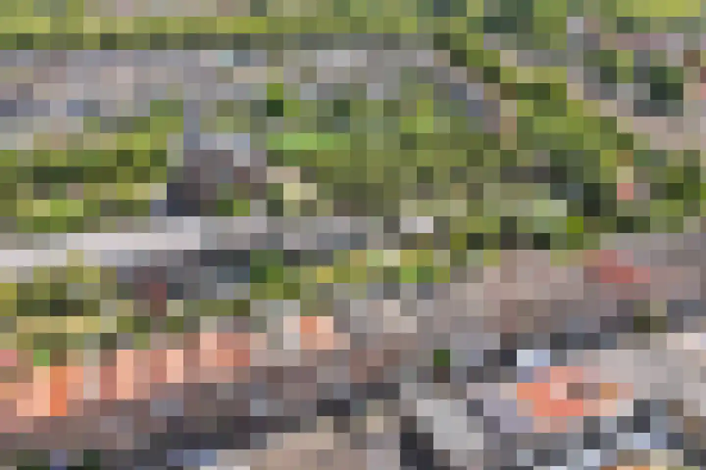 Warmoezierskade 31 Gouda thumbnail 39