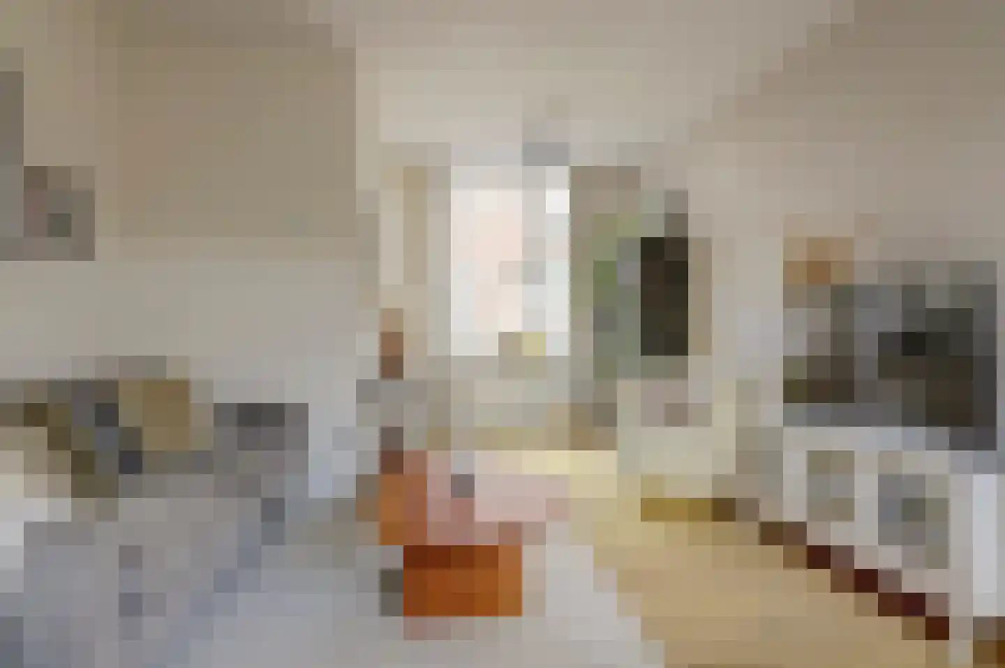 Warmoezierskade 31 Gouda thumbnail 7